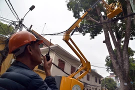 Hà Nội triển khai thiết bị cắt tỉa cây xanh bằng xe tự hành chuyên dụng