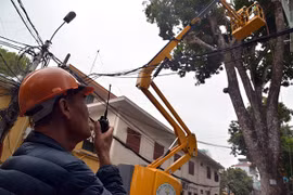 Hà Nội triển khai thiết bị cắt tỉa cây xanh bằng xe tự hành chuyên dụng