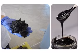 Biến nước thải thành dầu thô sinh học 