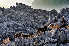 Không gian văn hóa vùng cao tại Hà Nội