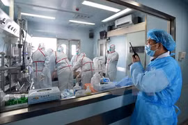 Cúm gia cầm bùng phát nhưng nguy cơ lây sang người thấp