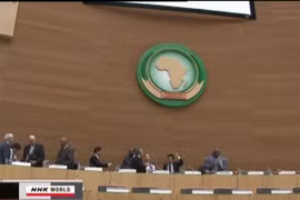 Hội nghị đầu tư phát triển châu Phi tại Nhật Bản