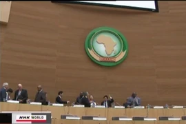 Hội nghị đầu tư phát triển châu Phi tại Nhật Bản