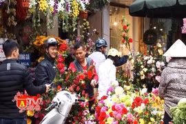 Thủ đô ngập tràn sắc xuân