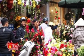 Thủ đô ngập tràn sắc xuân