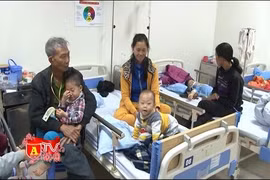 Mang xuân về cho những mảnh đời kém may mắn