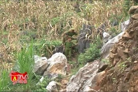 Xuân về trên bản biên cương