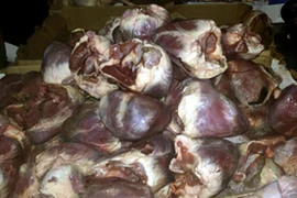 Thu giữ 360kg tim lợn đông lạnh và 125 lọ thuốc diệt cỏ