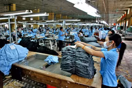 Hiệp định Đối tác xuyên Thái Bình Dương: Doanh nghiệp Việt dường như chưa sẵn sàng