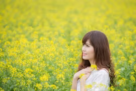 Mơ màng sắc hoa cải đầu đông 