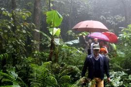 Hút tour du lịch đến Vườn Quốc gia Ba Vì và làng cổ Đường Lâm