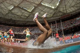 50 bức ảnh đẹp nhất của làng thể thao thế giới năm 2015