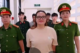 Từ vụ Hoàng Hường bị khởi tố: Vi phạm quy định kế toán có thể bị phạt tù tới 20 năm, tịch thu toàn bộ tài sản?