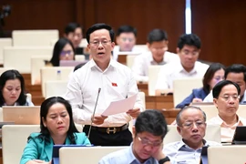 ĐBQH: Mức độ tiêu tốn năng lượng của các trung tâm dữ liệu, phục vụ trí tuệ AI rất lớn 