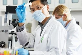 Mới: Thêm hàng loạt trường hợp người nước ngoài không cần giấy phép lao động tại Việt Nam 