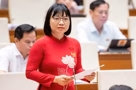 ĐBQH: Lộ thông tin cá nhân khiến nạn lừa đảo qua mạng bùng phát mạnh 