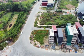 Hà Nội: Có thể xử lý hình sự vụ 22 lô đất trúng đấu giá ở Hà Đông bị bỏ cọc?