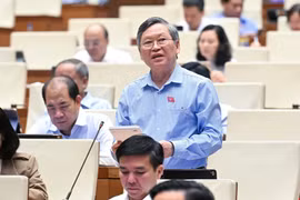 Đại biểu Quốc hội đề nghị xử lý nghiêm cán bộ bao che, dung túng cho tội phạm sản xuất, buôn bán thực phẩm giả