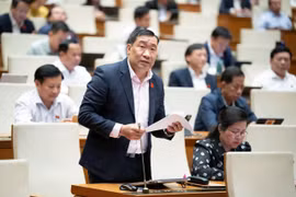 ĐBQH: Ở Hà Nội, có thời điểm bụi mịn vượt ngưỡng 5-7 lần, ảnh hưởng sức khỏe hàng triệu người