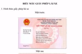 Chính thức công bố mẫu giấy phép lái xe mới nhất do Bộ Công an cấp