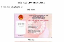 Chính thức công bố mẫu giấy phép lái xe mới nhất do Bộ Công an cấp