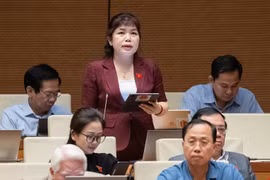 Đề nghị cho phép doanh nghiệp chủ động quyết định nguồn vốn, lãi suất cho vay với công ty con