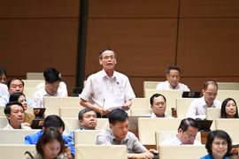 ĐBQH: “Tiền trong nhà có sẵn mà xài chưa được thì rất khó mời người khác đưa tiền vào”