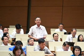 ĐBQH: “Tiền trong nhà có sẵn mà xài chưa được thì rất khó mời người khác đưa tiền vào”