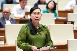 ĐBQH: Viện kiểm sát vừa khởi kiện, vừa tranh tụng có dẫn đến xung đột vai trò?