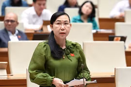 ĐBQH: Viện kiểm sát vừa khởi kiện, vừa tranh tụng có dẫn đến xung đột vai trò?