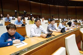 Chính phủ trình Quốc hội ban hành Nghị quyết miễn thuế sử dụng đất nông nghiệp đến hết năm 2030