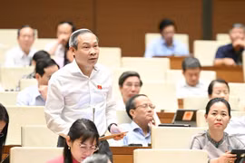 Đại biểu quốc hội: Đề nghị hạ độ tuổi tham gia góp vốn thành lập doanh nghiệp là từ 16 tuổi trở lên