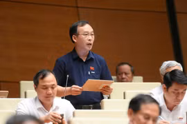 ĐBQH: Sẽ lấy nguồn vốn từ đâu để thực hiện các dự án đường sắt cao tốc, nhà máy điện hạt nhân?