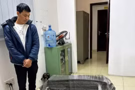 Mới nhất: Được tặng, nuôi động vật quý hiếm mà không biết thì có bị xử lý hình sự?