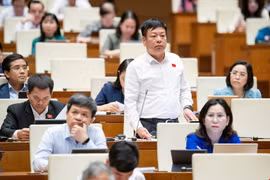 Đại biểu Quốc hội đề nghị không áp thuế tiêu thụ đặc biệt với điều hoà, xăng