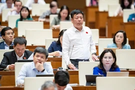 Đại biểu Quốc hội đề nghị không áp thuế tiêu thụ đặc biệt với điều hoà, xăng