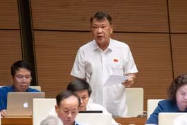 Đại biểu Quốc hội đề nghị quy định rõ hành vi cố ý không quyết định thanh tra 