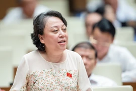 ĐBQH: Thanh tra theo kế hoạch thông báo rầm rộ sẽ không hiệu quả