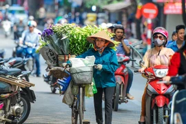 Mưu sinh giữa nắng hè