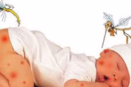 Hà Nội tái xuất trường hợp mắc liên cầu khuẩn lợn