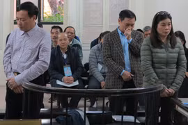 Cựu Phó tổng giám đốc Vinalines lĩnh án