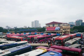 Cắt nốt xe của 5 doanh nghiệp không điều chuyển luồng tuyến