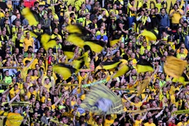 Tiết lộ gây sốc: CĐV Bundesliga thường xuyên dùng ma túy đá trên khán đài