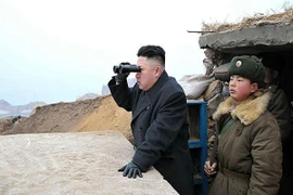 Lãnh đạo Triều Tiên thị sát diễn tập, Hàn Quốc kêu gọi kiềm chế