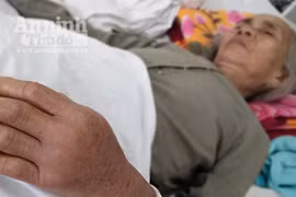 Đã có hơn 140 người nhập viện vì bị rắn lục đuôi đỏ cắn