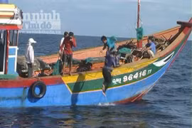 Lặn đánh bắt hải sâm – sinh nghề tử nghiệp