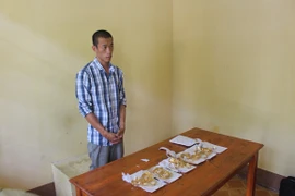 Cắt mái tôn tiệm vàng, đột nhập lấy đi 15 lượng vàng