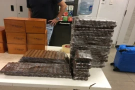 Gần 17.000 điếu xì gà "đi máy bay" về Việt Nam