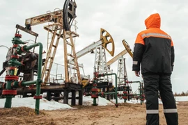 Kinh tế Nga đứng vững bất chấp giá dầu giảm xuống mức nguy hiểm?