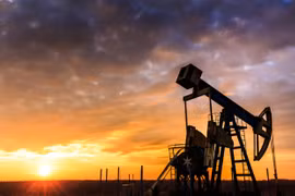 Tổ chức BRICS thống trị thế giới khi trở thành 'siêu cường tài nguyên'?